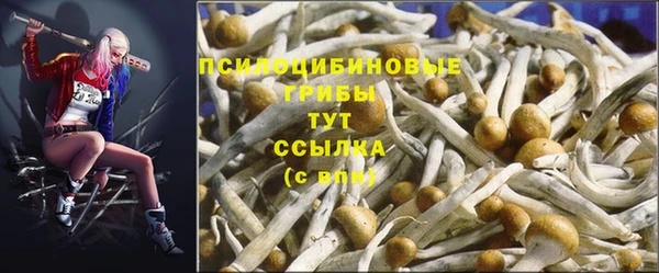 spice Корсаков
