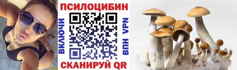Галлюциногенные грибы GOLDEN TEACHER  магазин    Котово 