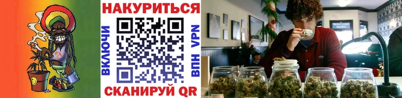 Конопля Bruce Banner  Котово 